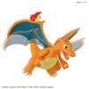 Pokemon - Charizard and Dragonite Model Kit