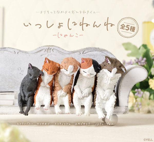 Let's Sleep Kitty Cats Series Blind Box (Single)