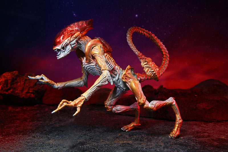 NECA: Aliens – Panther Alien Kenner Tribute 7″ Scale Action Figure