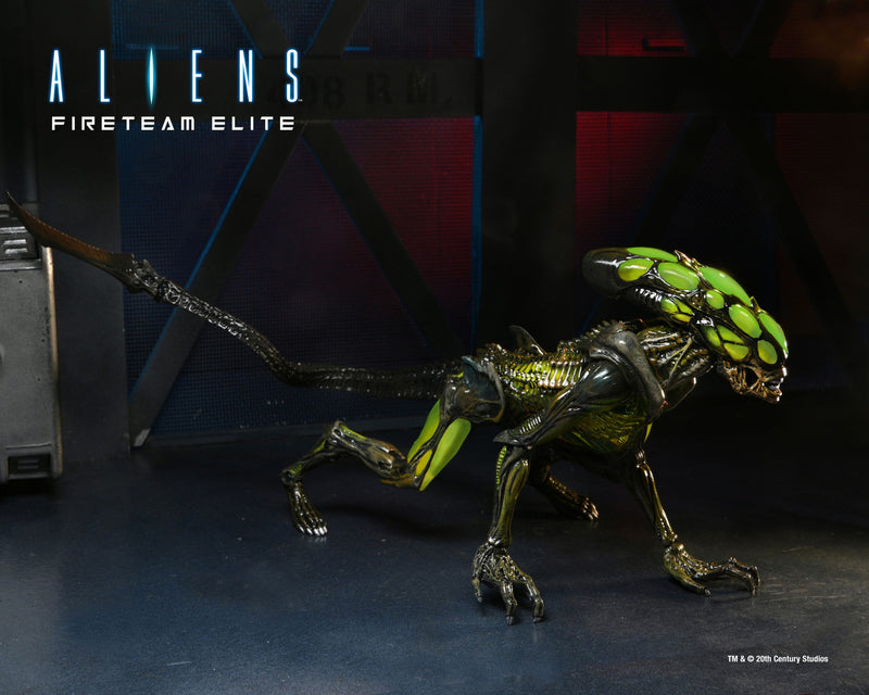 NECA: Alien’s Fireteam Elite – Burster 7″ Scale Action Figure