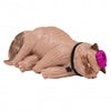 Dungeon Crawler Carl: Donut Surprise Series Blind Box (Single)