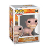 The Land Before Time - Littlefoot Pop! Vinyl Figure