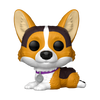 Pets - Corgi Pop! Vinyl Figure