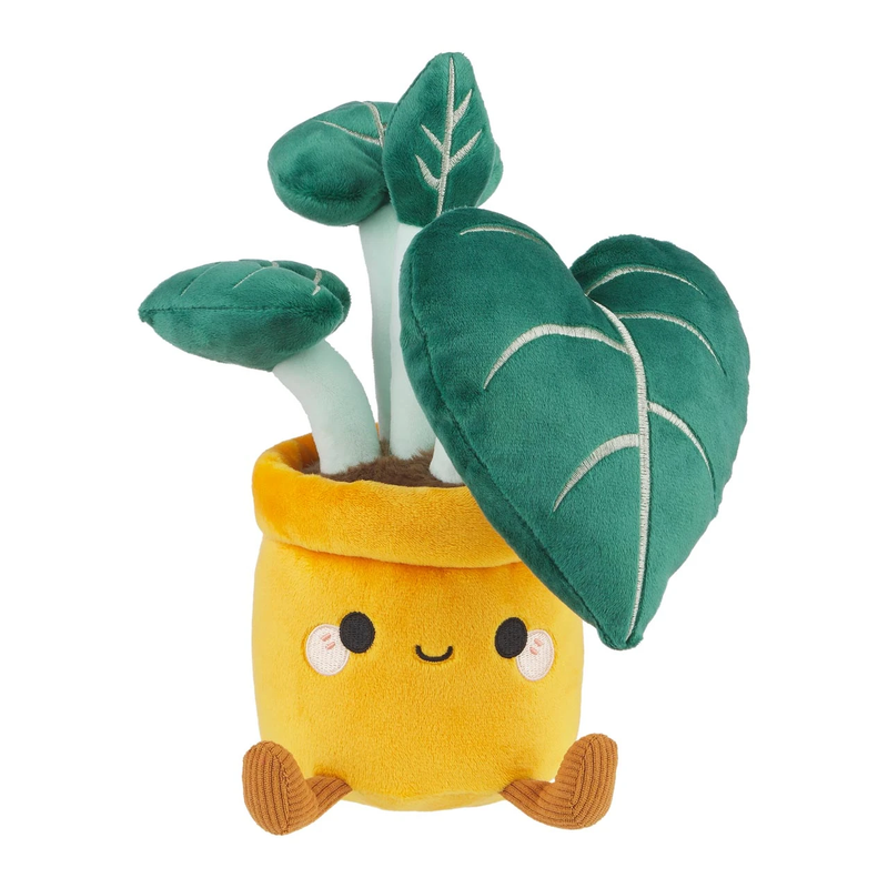 Honeymaru: Alocasia Black Velvet Succulent Plush (8