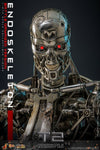 Terminator 2: Judgment Day - Endoskeleton (Battle Damaged) 1/6 Scale Collectable Action Figure