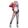 Suicide Squad (2016) - Harley Quinn 1/6 Scale Collectable Action Figure
