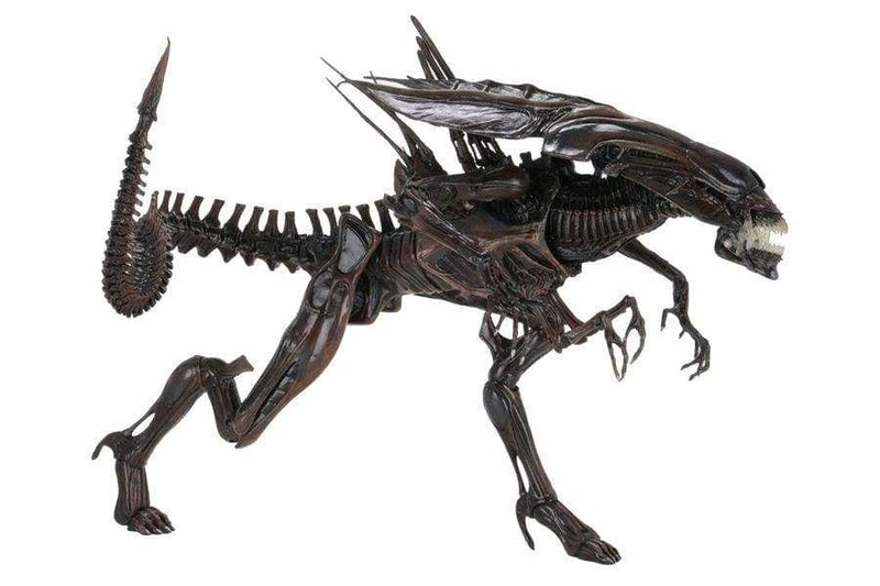 Image Aliens - Alien Resurrection Queen Deluxe Boxed Action Figure