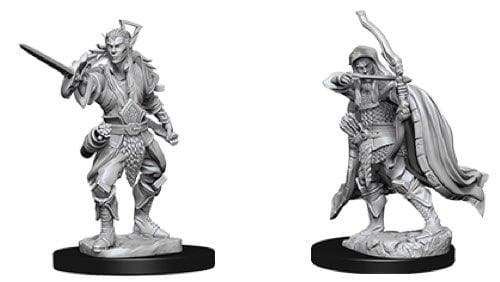 Image Dungeons and Dragons: Elf Rogue Male