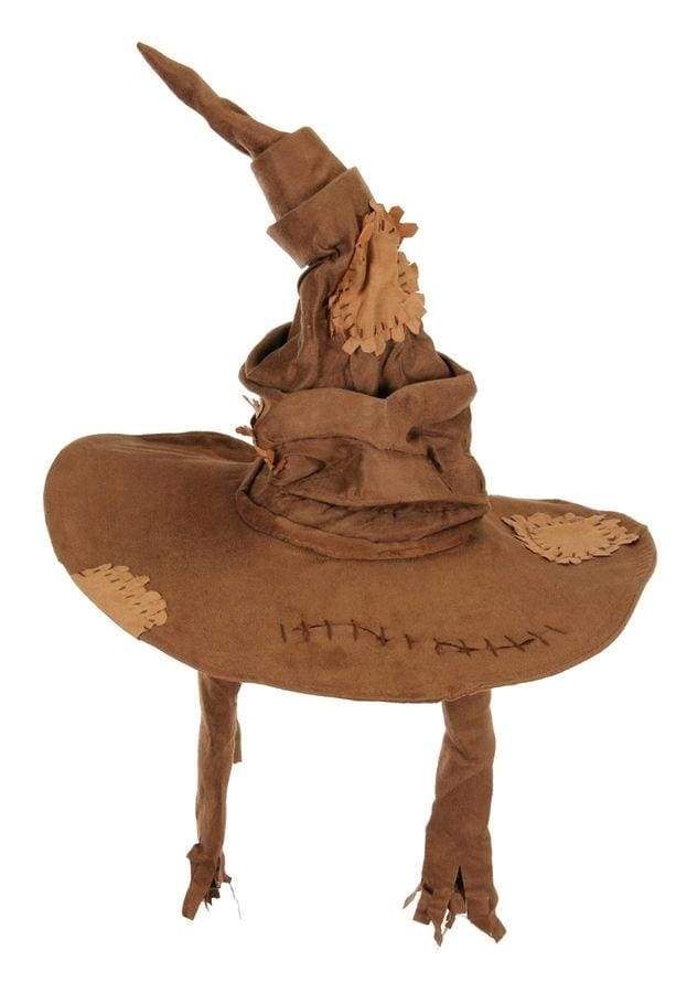 Image Harry Potter Sorting Hat
