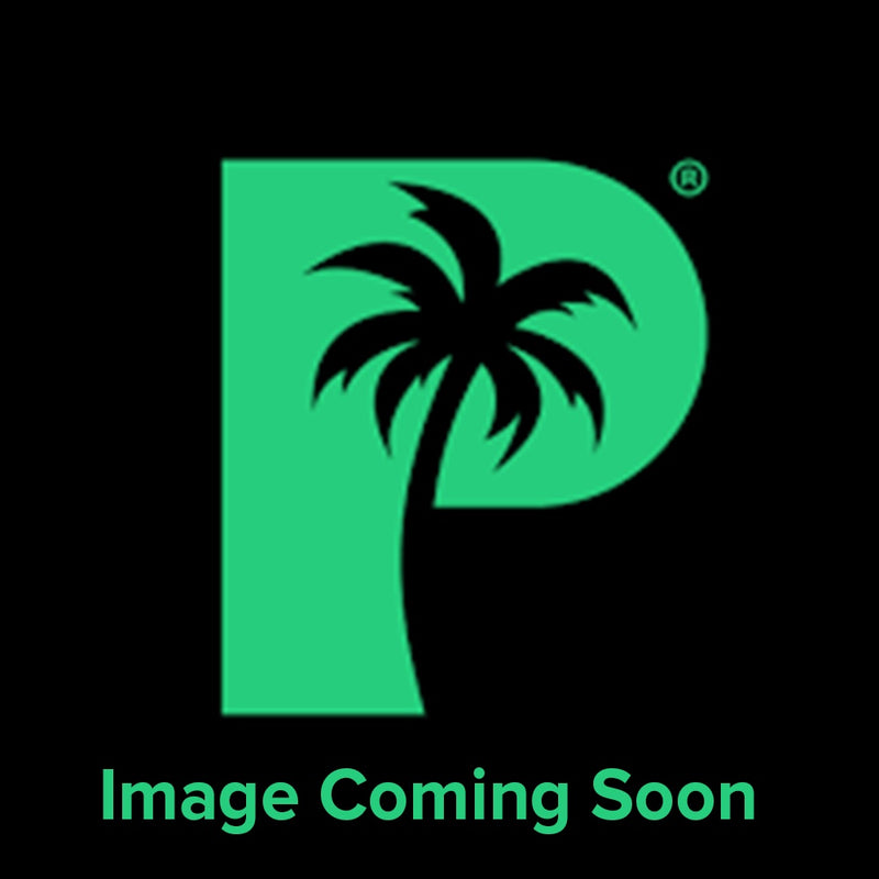 Palms Off: Artist Series Mega Capacity 16 Pocket Binder – Starve