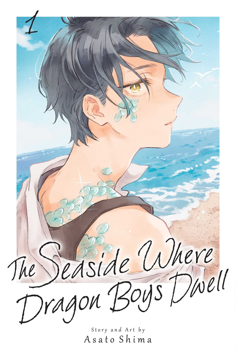 Seaside Where Dragon Boys Dwell - Vol. 1