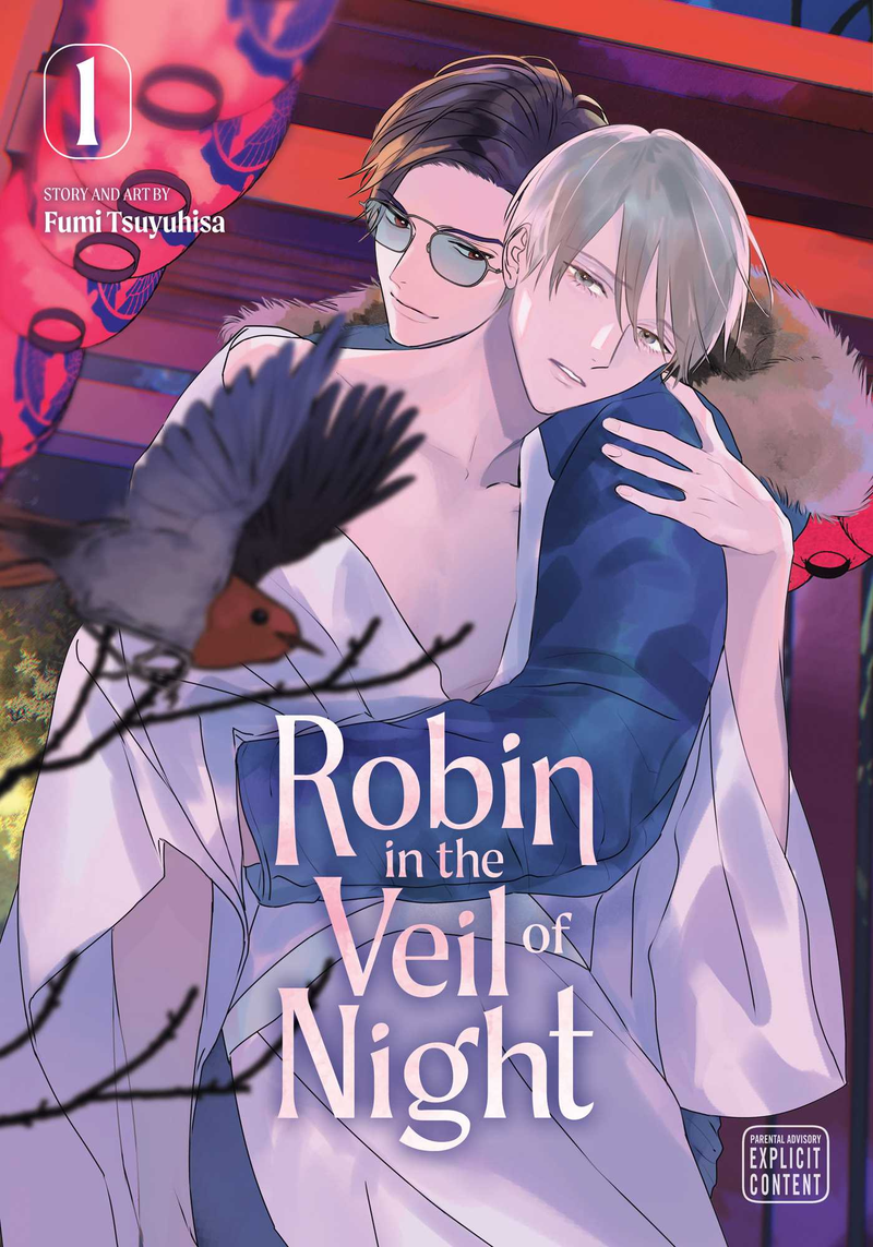 Robin in the Veil of Night - Vol. 1