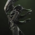 SID200464–Alien-Internecivus-Raptus-StatueB
